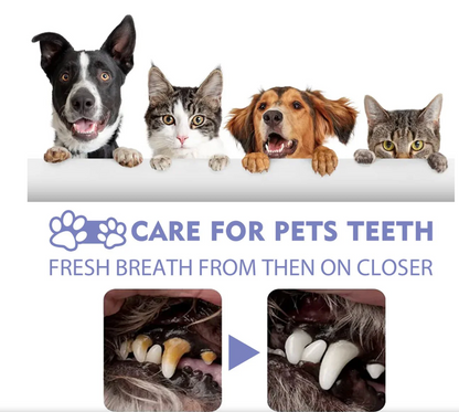 PROMOCIÓN ESPECIAL SOLO POR ESTA SEMANA 2X1 OralPet® Spray Oral Limpiador para Perros y Gatos🐱🐶