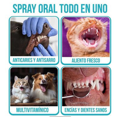 PROMOCIÓN ESPECIAL SOLO POR ESTA SEMANA 2X1 OralPet® Spray Oral Limpiador para Perros y Gatos🐱🐶