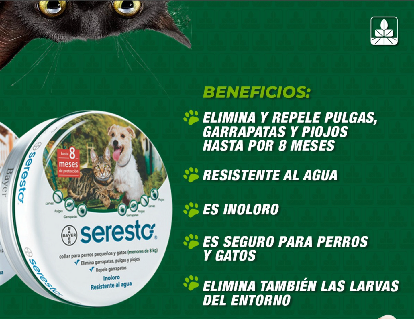 Promoción Especial 2x1🐶  : Compra 1 Collar Antiparasitario y Llévate 2 – 8 Meses de Protección – Ajustable para Perros y Gatos – Talla 70cm