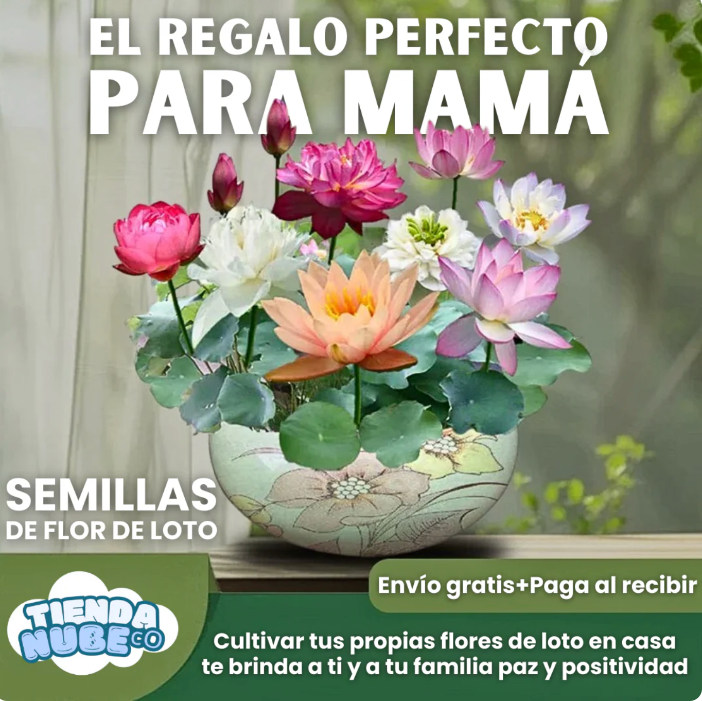 Semillas Mixtas de Rosasy amapolas  Trepadoras X 250 Semillas