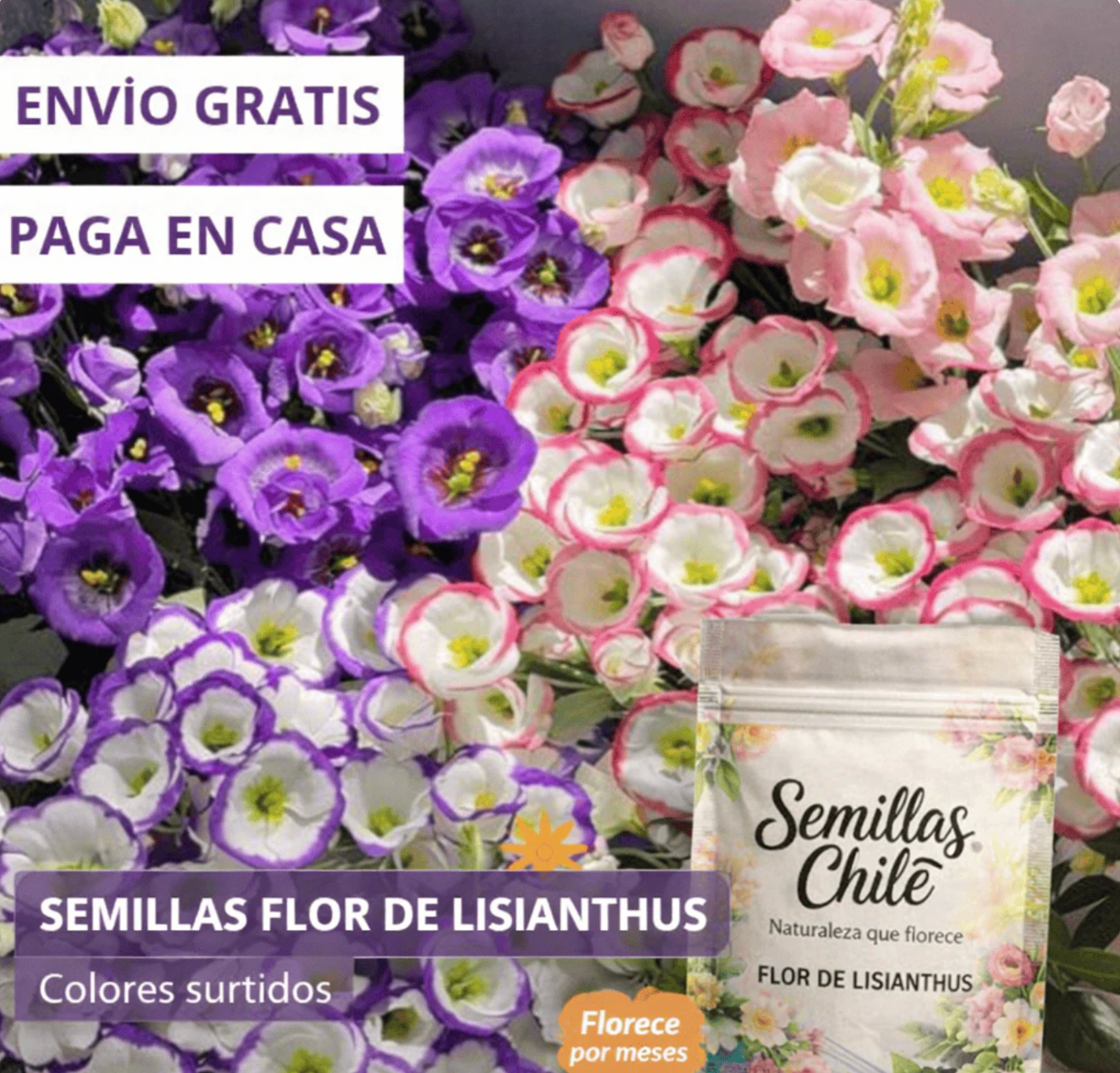 🌿Semillas Flor de LISIANTHUS 💖🔥1 paquete - 100 semillas Aprox. (5 gr.)