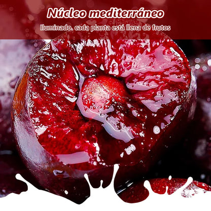 Semillas de Cereza de Chile OFERTA 2 PAQUETES AL PRECIO DE 1 😍 🔥